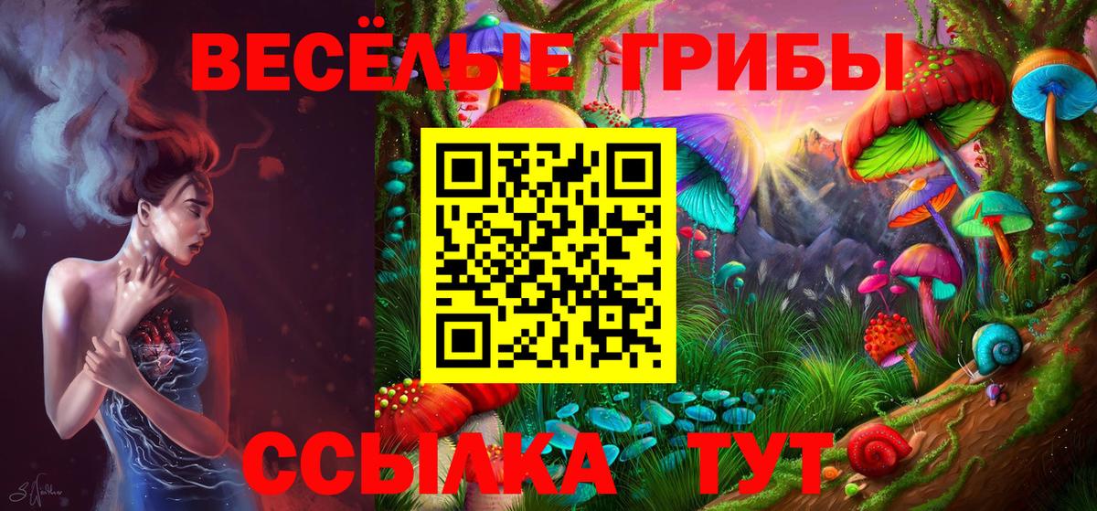 Тула  Псилоцибиновые грибы Psilocybine cubensis  Вход с VPN 