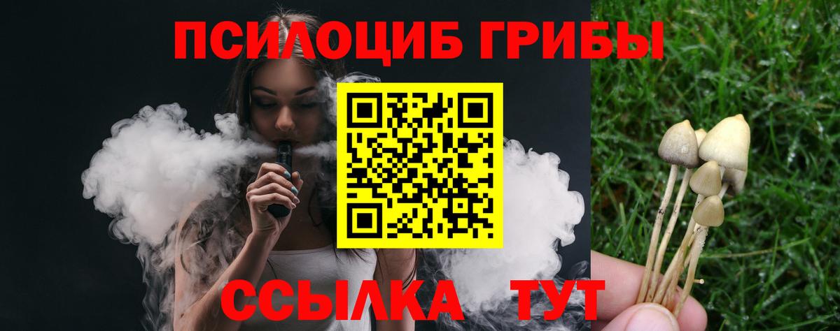 Псилоцибиновые грибы Psilocybine cubensis Тула